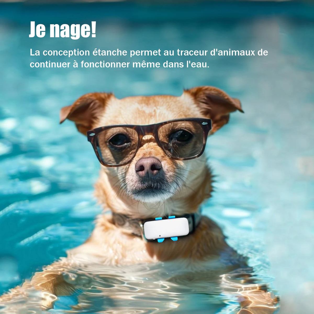 Colliers reperage pour chiens waterproof Image