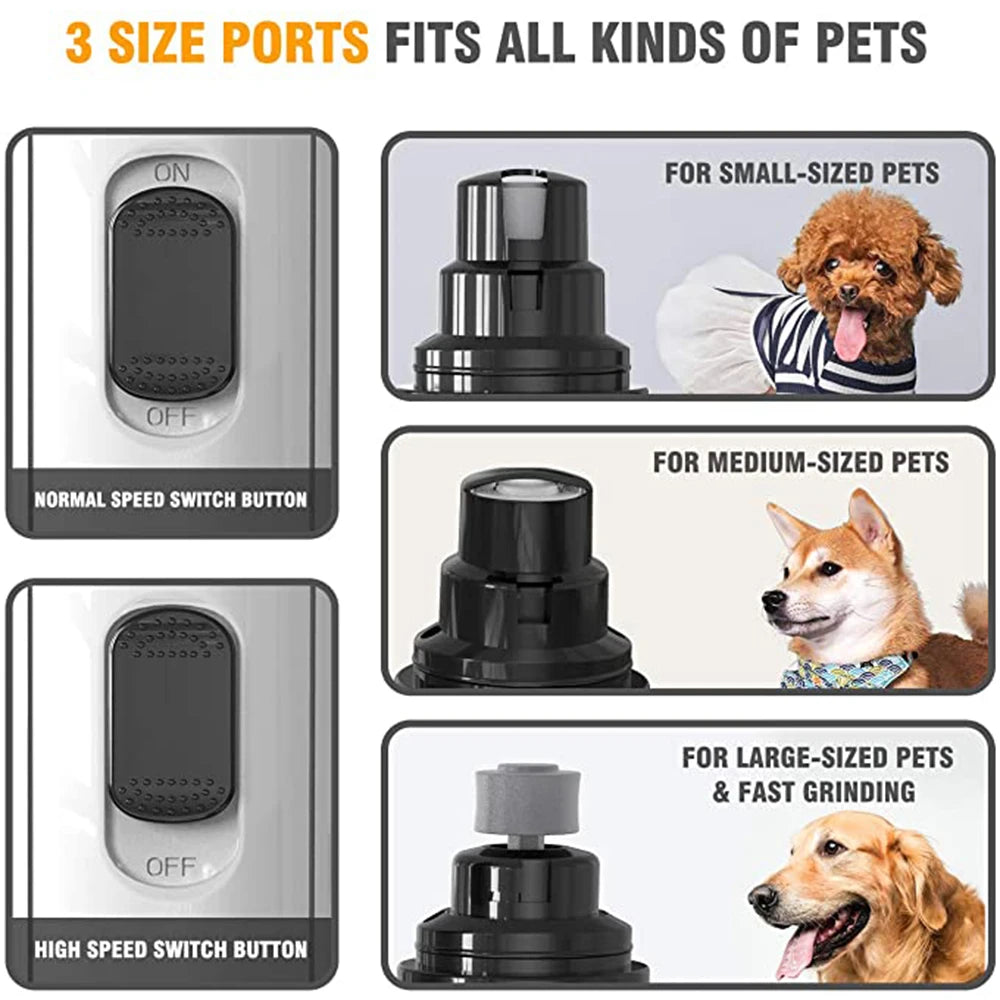 Coupe ongle automatique pour chien 3 tailles  Image