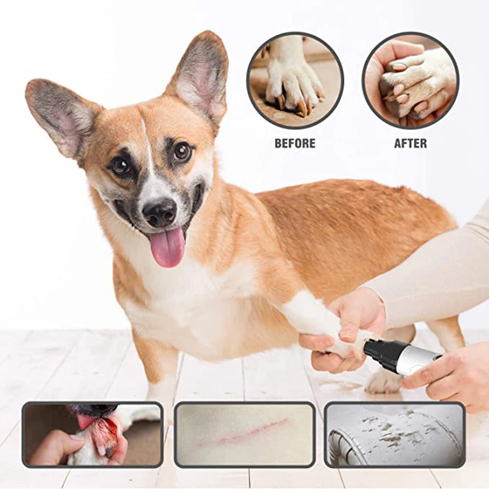 Coupe ongle automatique pour chien avant et après Image