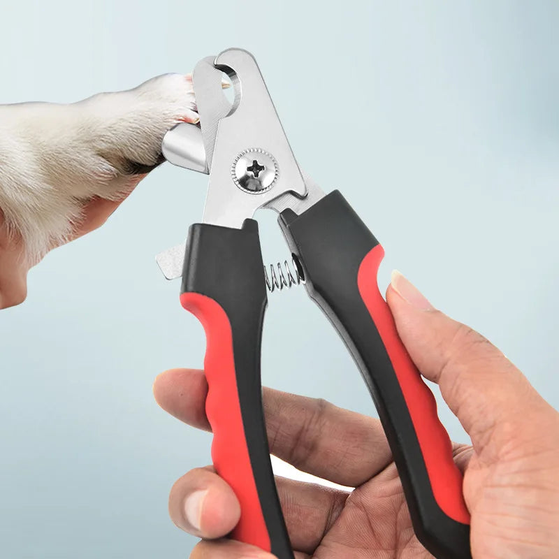Coupe ongle pour chien pas cher coupant des griffes Image