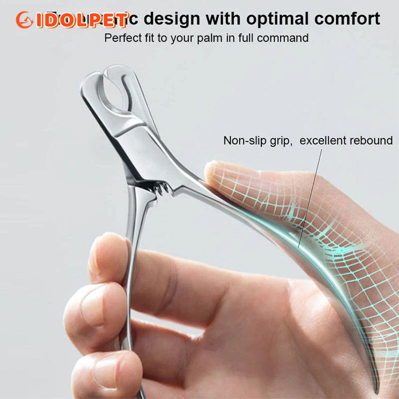 Coupe ongle pour gros chien avec une main tenant le bruit  Image