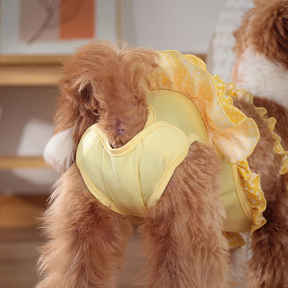 Culotte pour chien tutu de couleur jaune avec un petit chien de couleur brun debout de dos. Image produit Boutiquechien