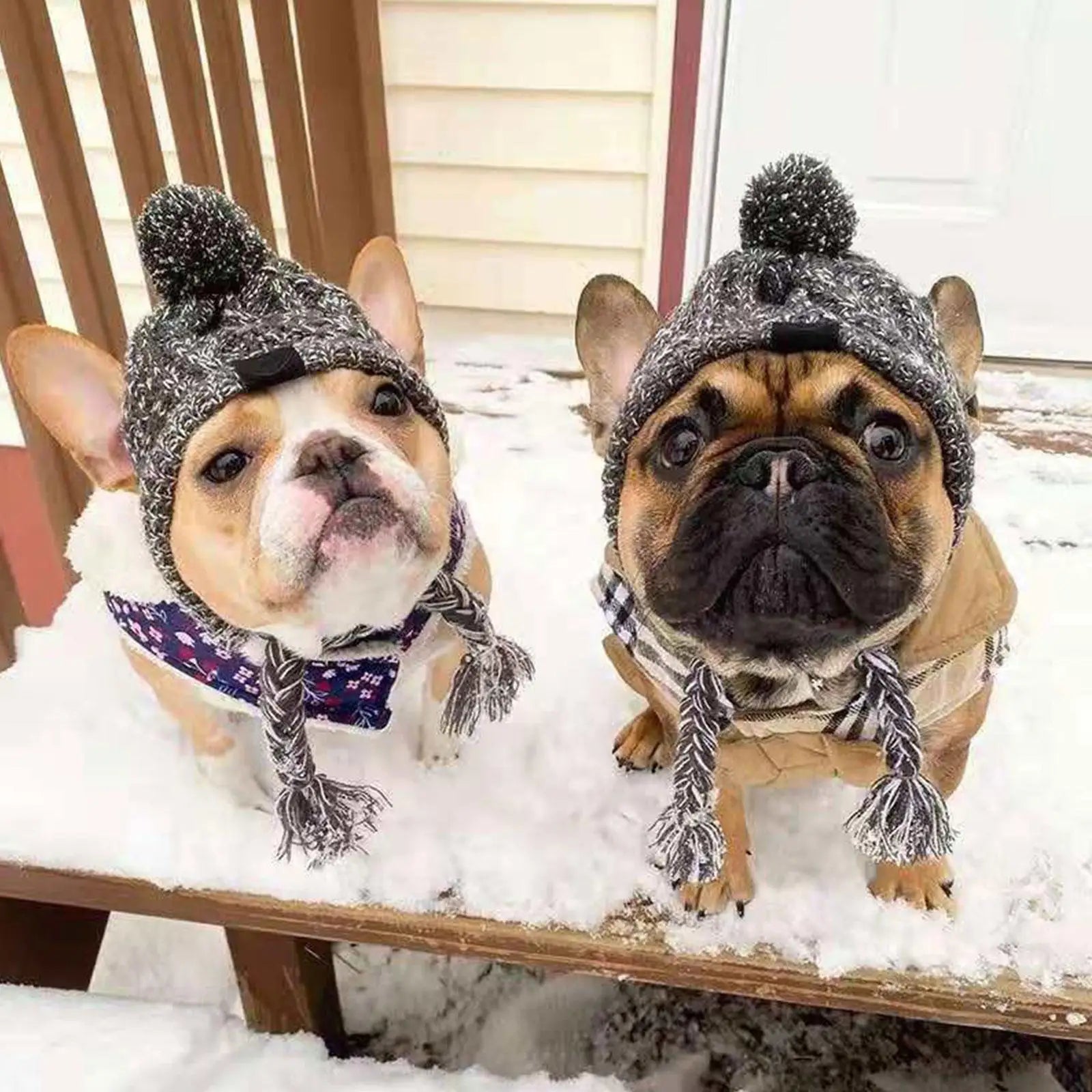 Deux petit chien de couleur brun portant des bonnets pour chien de couleur gris. Les chiens sont assis dans la neige blanche sur les escaliers. Image produit Boutiquechien