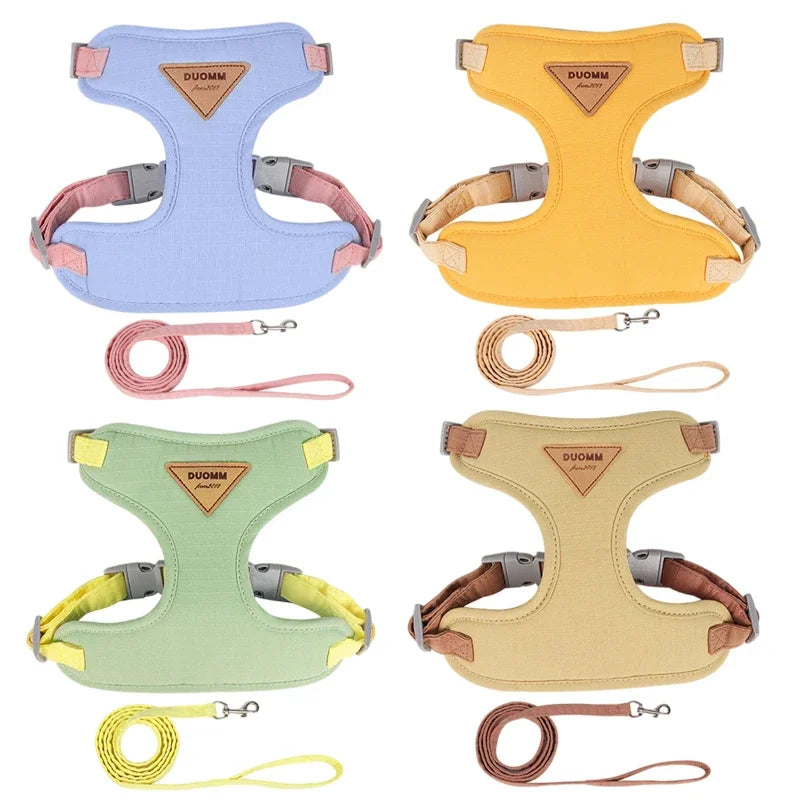 Petit harnais de couleur pour chien de différentes couleurs. Image produit Boutiquechien