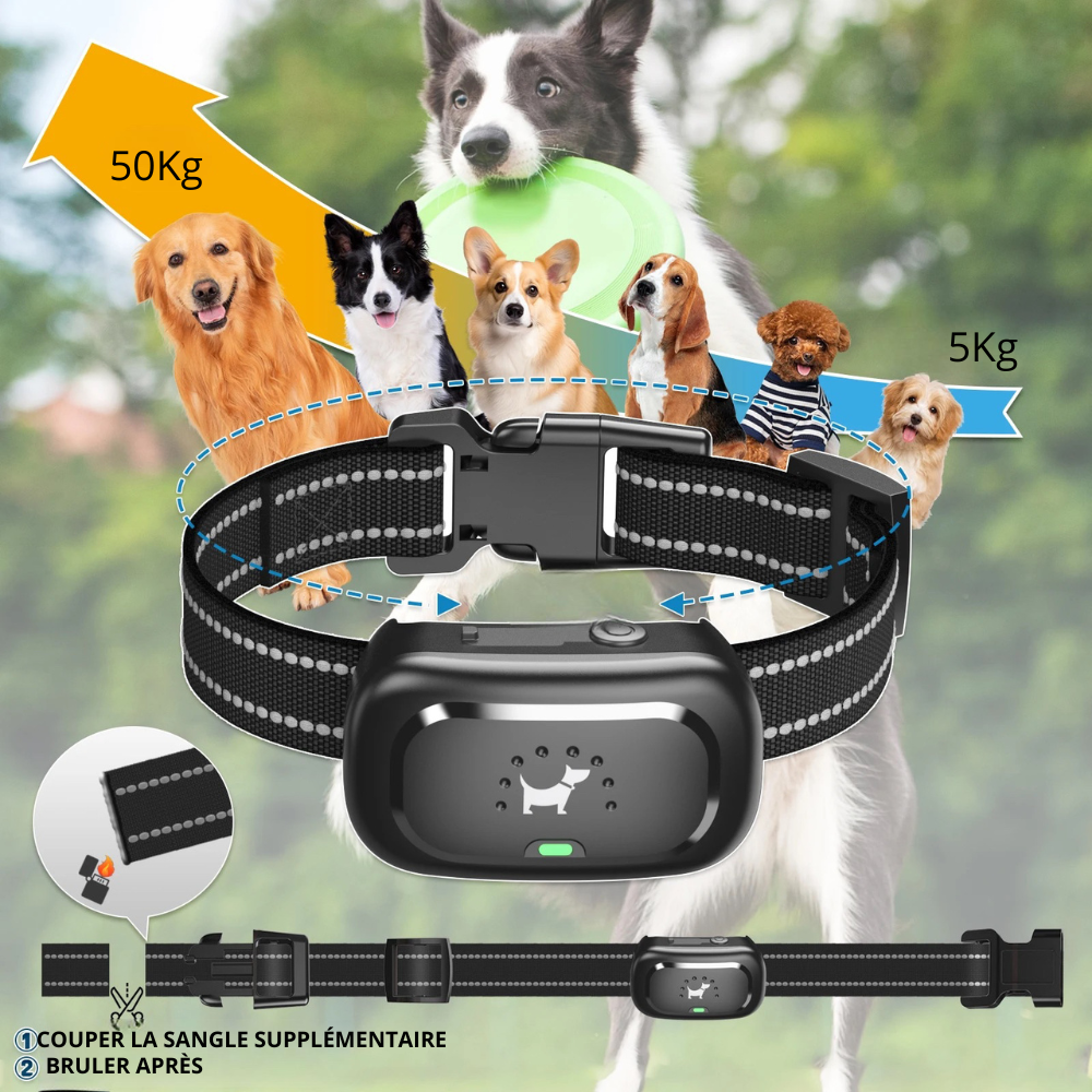 Dimension du collier chien de couleur noir réglable. Le collier chien est réglable de 5 à 50Kg pour tous les chiens. Image produit Boutiquechien