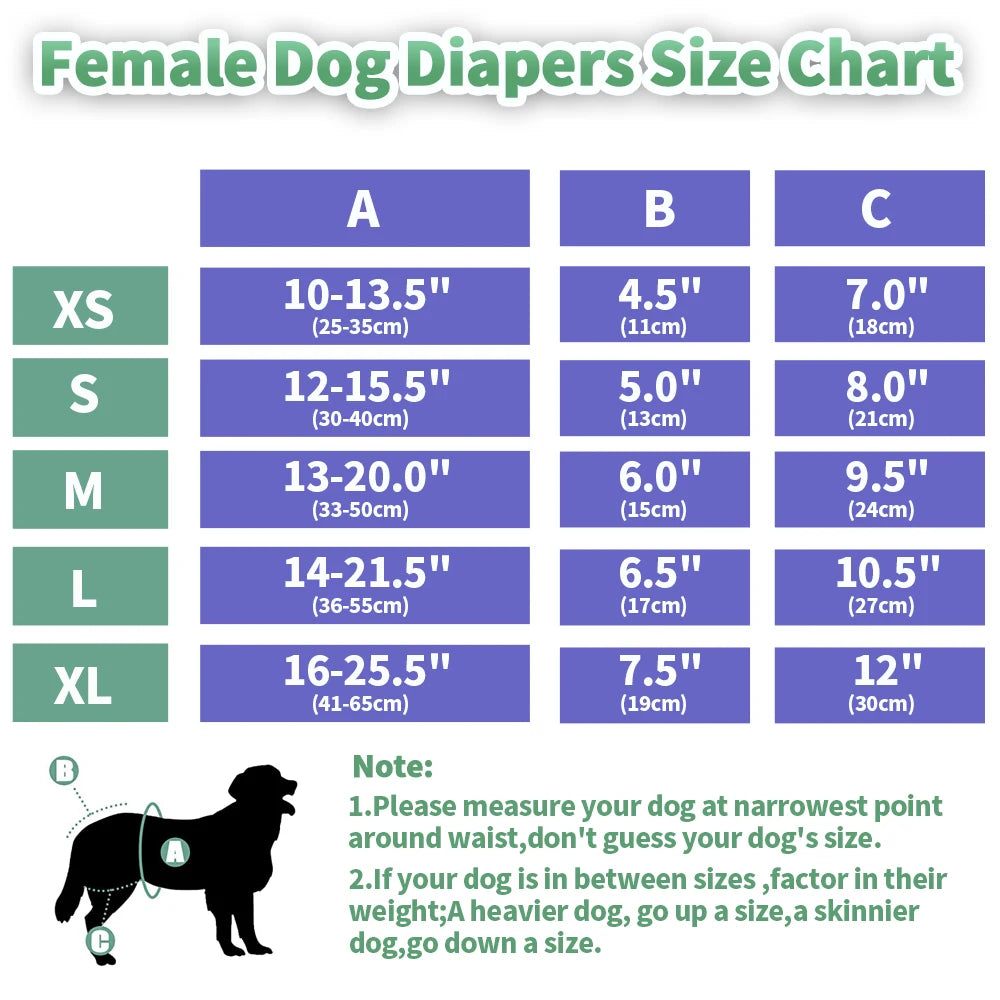 Dimension total de la couche pour chienne en forme de tableau. Image produit Boutiquechien