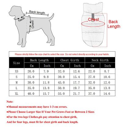 Dimensions total de la veste pour chihuahua dans un tableau. Image produit Boutiquechien