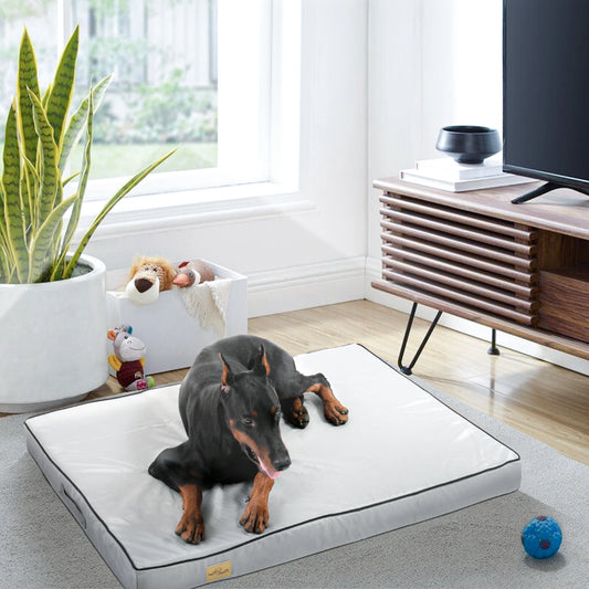Tapis confortable pour chien posé dans un salon design. Le salon possède plein de jouet pour chien et un meuble design. Image produit Boutiquechien