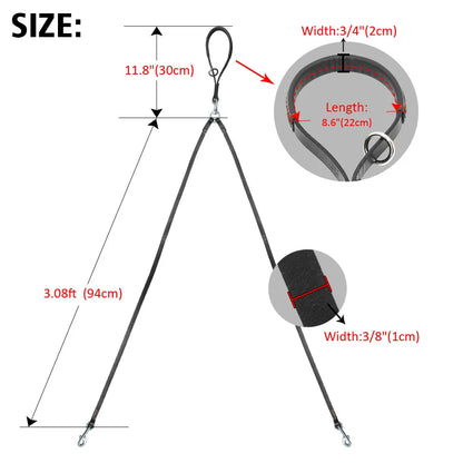 Double laisse pour chien dimensions 