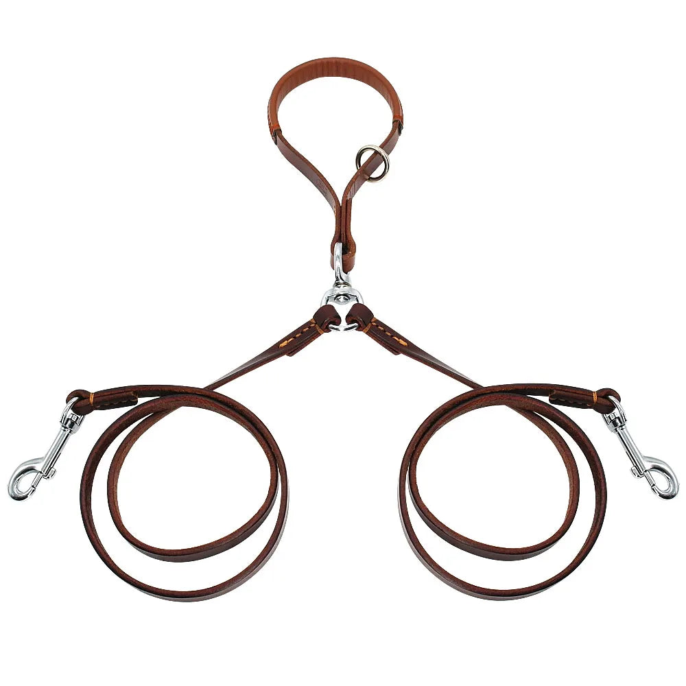 Double laisse pour chien avec du cuir