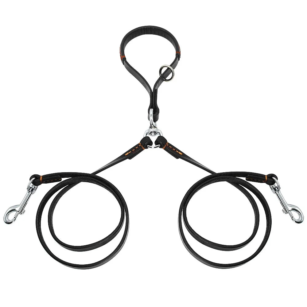 Double laisse pour chien noir