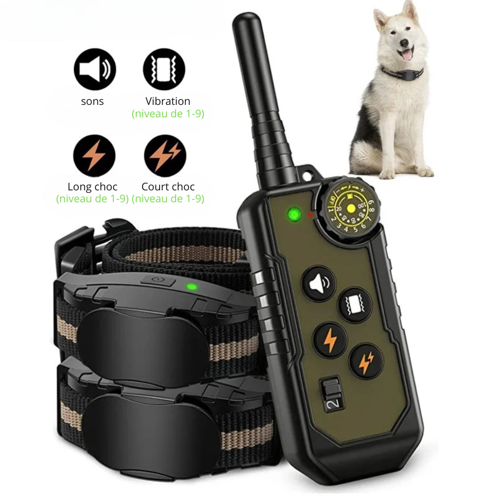 deux colliers chien parfait pour l'apprentissage de votre chien. Le collier possède plusieurs modes pour mieux gérer votre chien. Image produit Boutiquechien