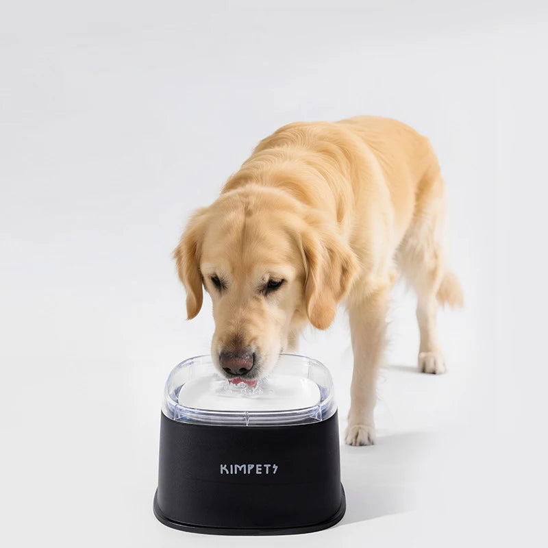 Gamelle anti eclaboussure chien avec gris chien blanc Image