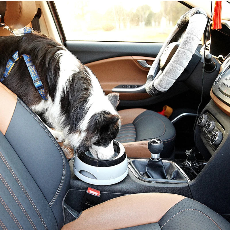 Gamelle anti renversement chien avec un chien buvant dans une voiture  Image