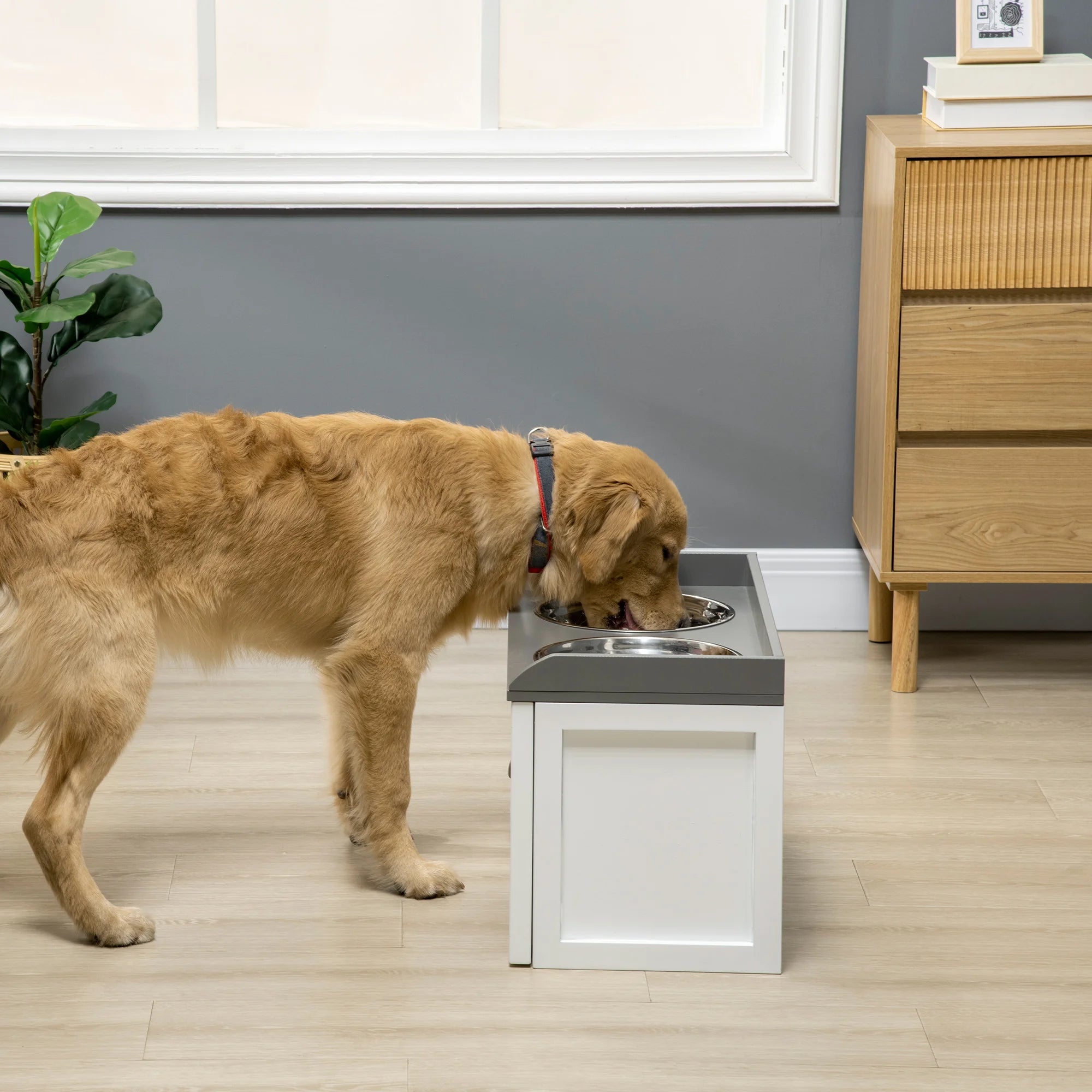 Gamelle chien xxl avec un chien mangeant dans une gamelle sureleve  Image