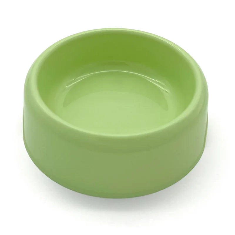 gamelle chiot de couleur vert claire pour les chiots et petit chien. Image produit Boutiquechien
