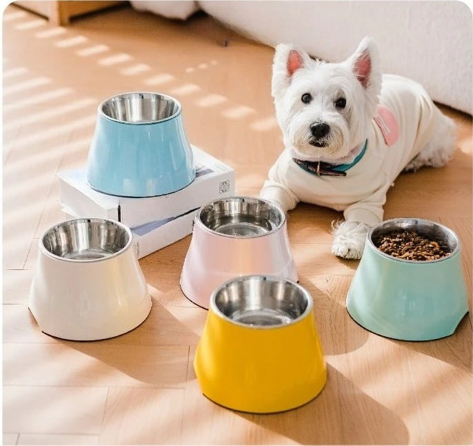 Gamelle inox surélevée pour cocker avec un chien blanc couché sur le parquet en bois  Image
