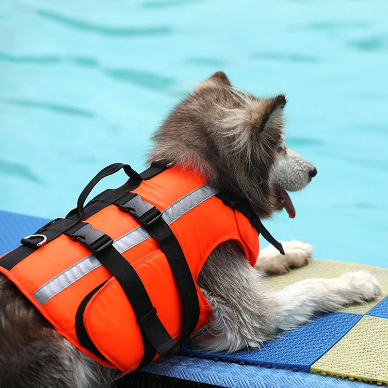 Gilet pour chien de sauvetage de couleur orange et noir avec rappel réfléchissant. Le chien est posé proche de l'eau. Image produit Boutiquechien