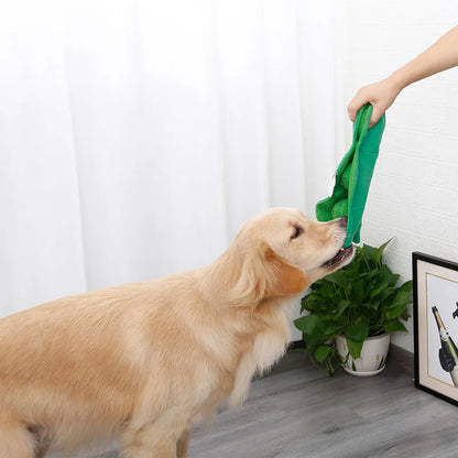 Golden retriever blanc avec tapis haricot vert dans un salon blanc. Image produit Boutiquechien