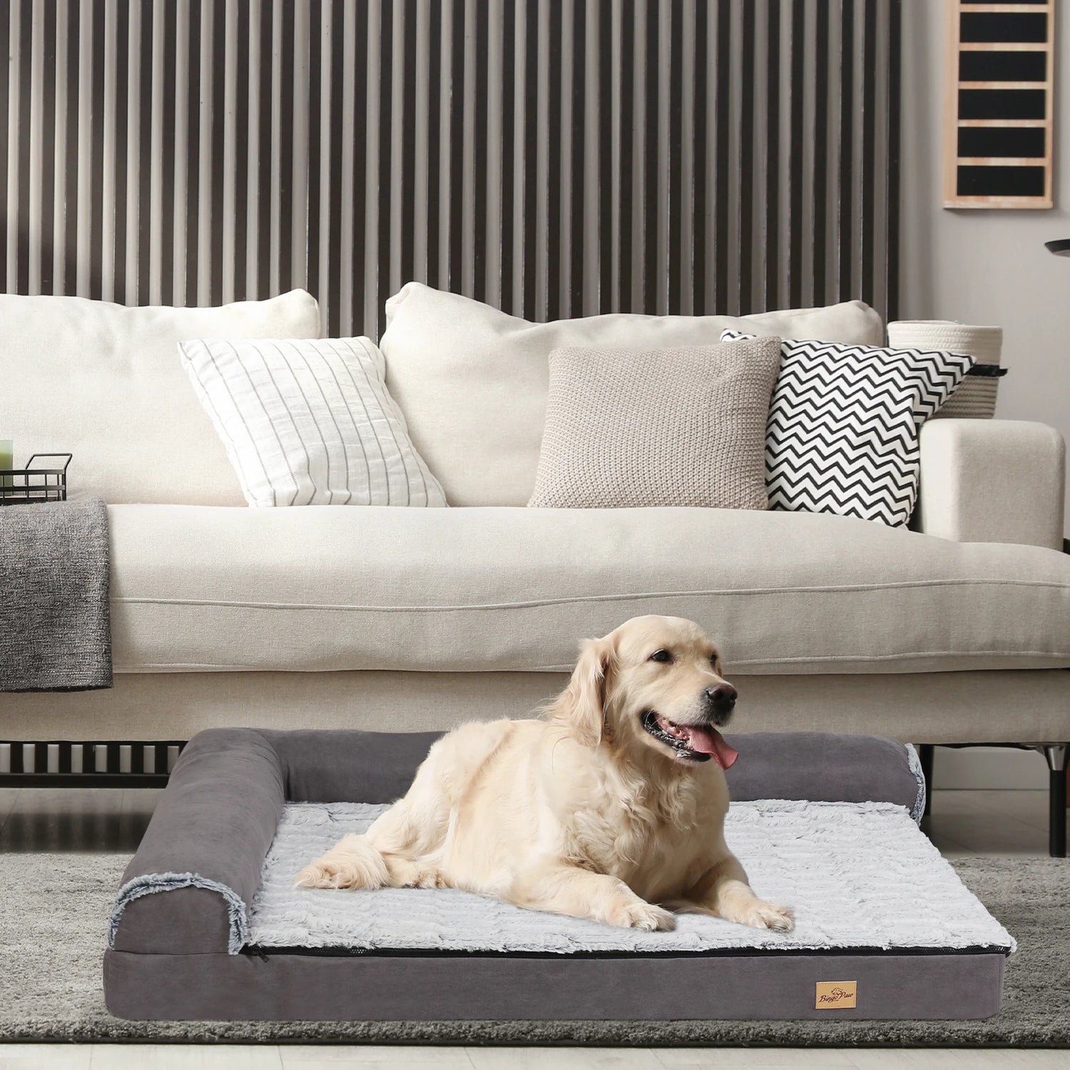 Golden retriever de couleur blanc posé dans un salon de couleur claire avec en fond un canapé blanc. Le tapis est de couleur gris et blanc, parfait pour les grands chiens avec sa manière orthopédique. Image produit Boutiquechien