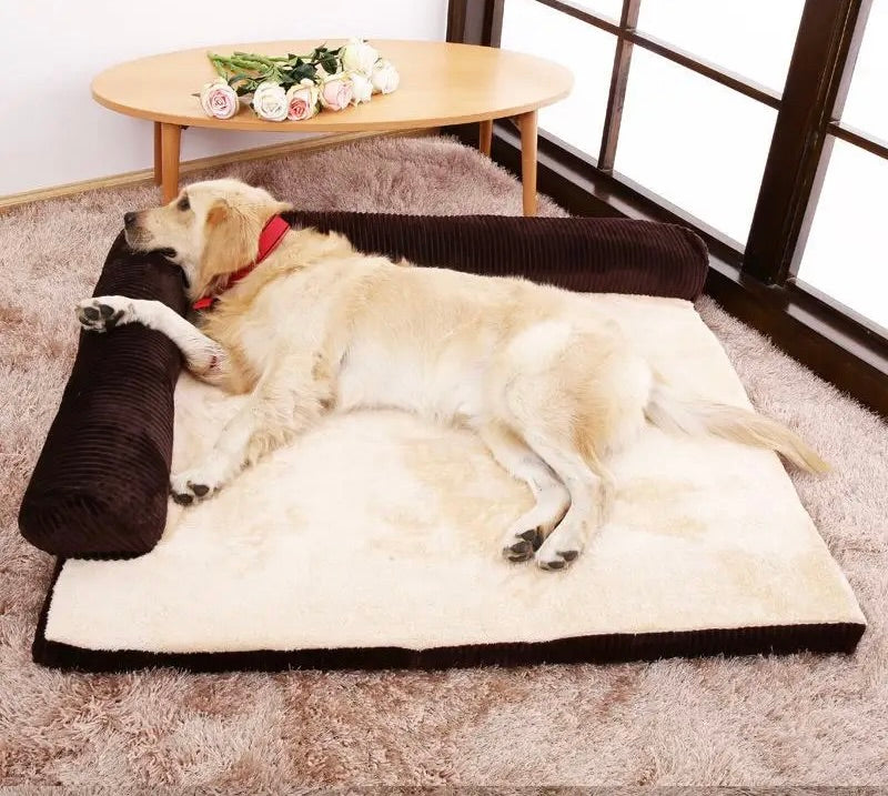 Golden retriever de couleur blanc couché sur un tapis chien de couleur brun velours. Le chien est couché devant une table base en bois. Image produit Boutiquechien Image
