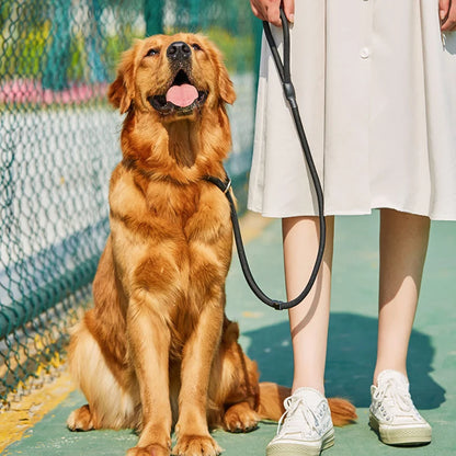 laisse lasso pour chien golden retriever roux maintenu par une laisse lasso noir. image produit Boutiquechien