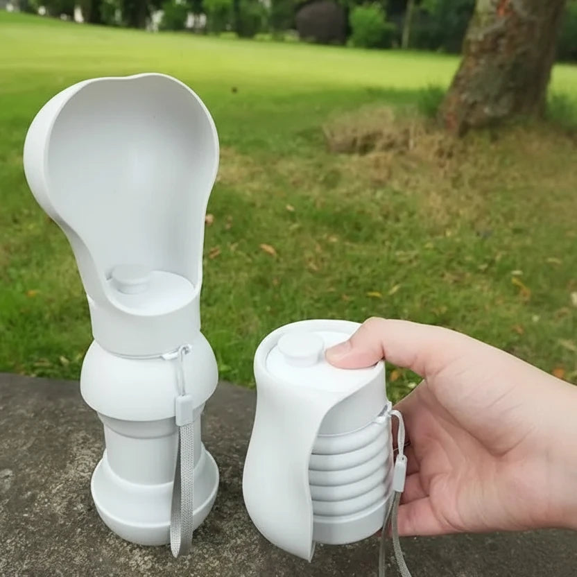Gourde pliable pour chien dans l'herbe verte  Image