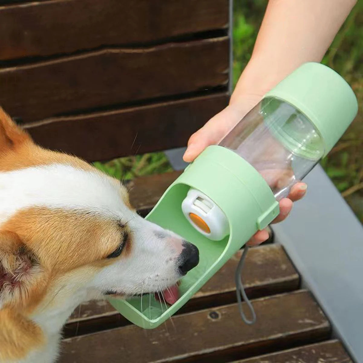 Gourde portative pour chien avec un chien claire qui bois dedans  Image