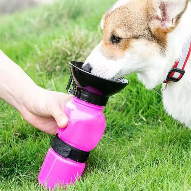 Gourde pour grand chien avec un chien de couleur claire qui bois dedans  Image
