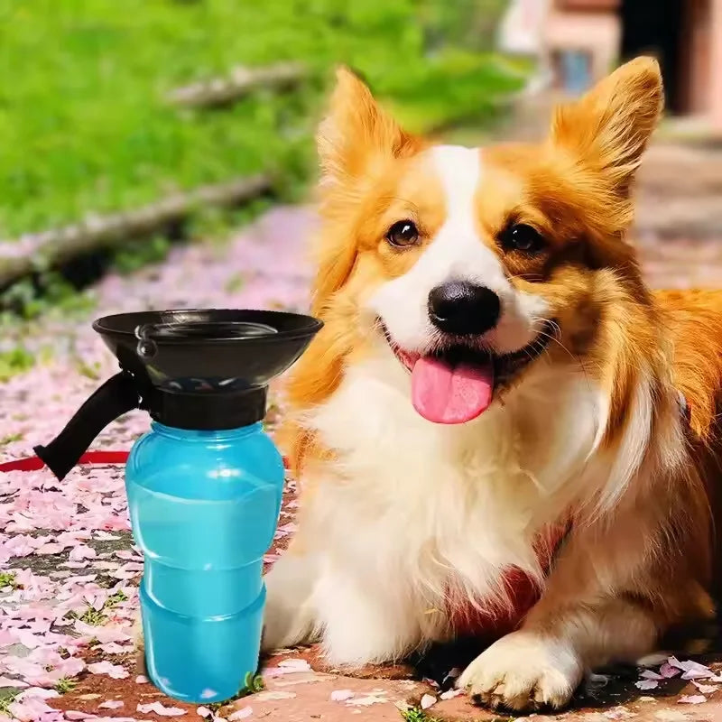 Gourde pour grand chien avec un chien claire  Image