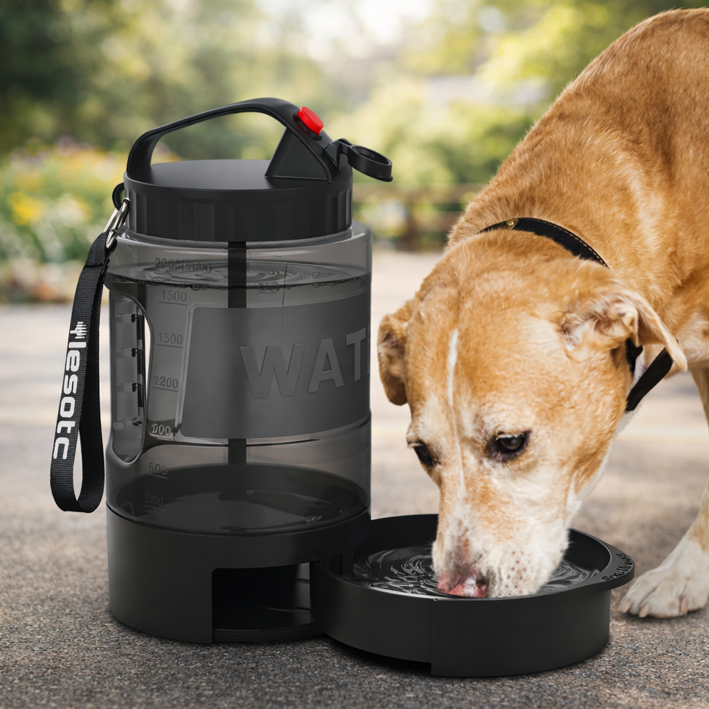 Gourde pour gros chien avec un gros chien claire qui boit dedans  Image