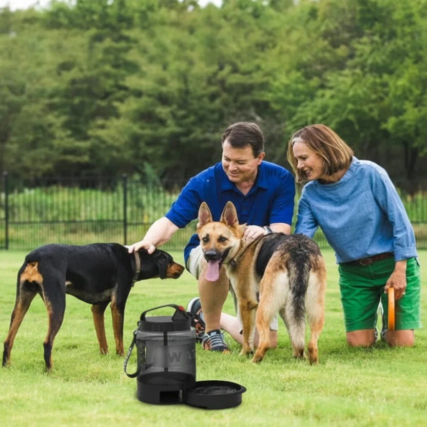 Gourde pour gros chien avec une famille dans l'herbe Image