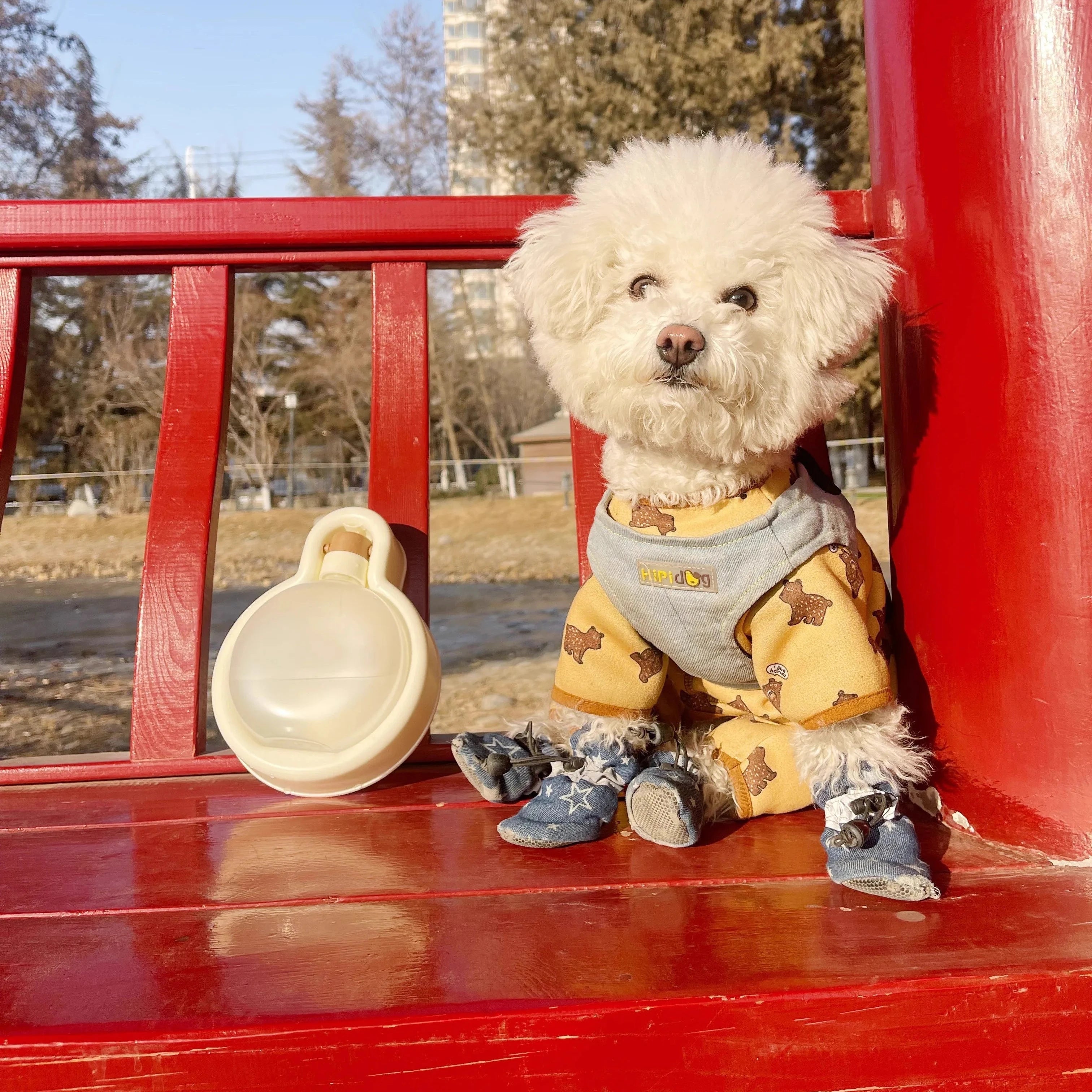 Gourde pour petit chien avec un petit chien Image