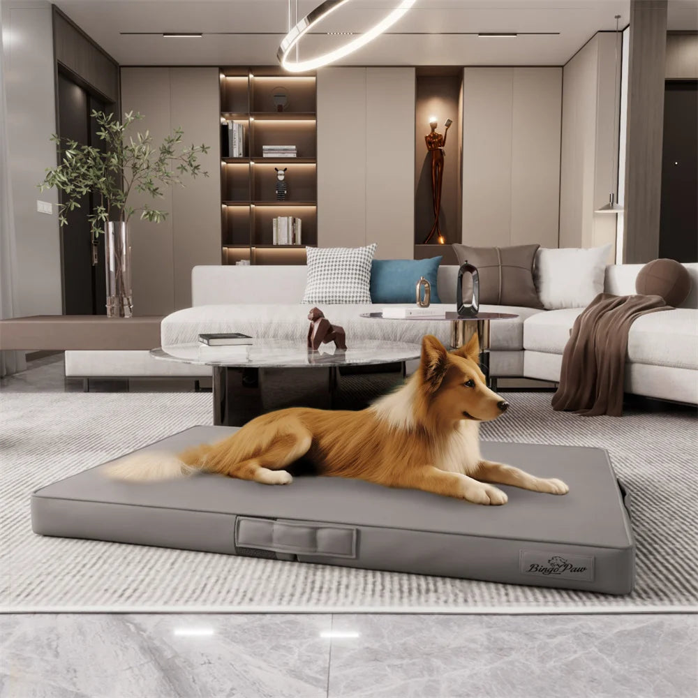Grand chien brun à long poil couché sur un grand tapis gris. Le chien est couché dans un salon design et claire avec en fond un canapé blanc et une armoire design. Image produit Boutiquechien