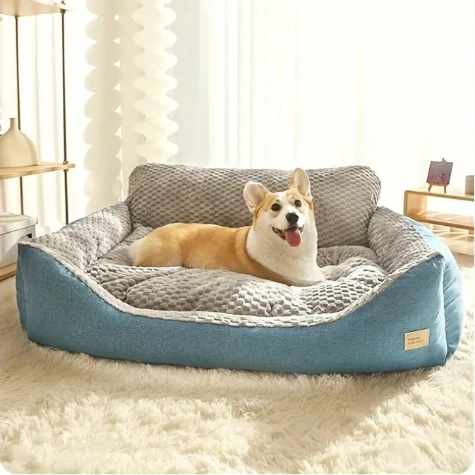 Grand panier pour chien déhoussable bleu canard avec un chien de couleur claire dessus Image