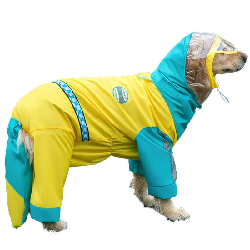 Gros chien de couleur blanc avec un imper jaune et bleu. Image produit Boutiquechien