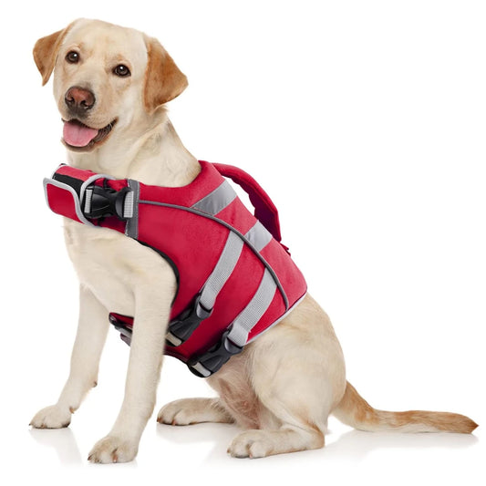 gros chien de couleur blanc portant un harnais pour chien de sauvetage de couleur rouge avec des bandes grises. Image produit Boutiquechien