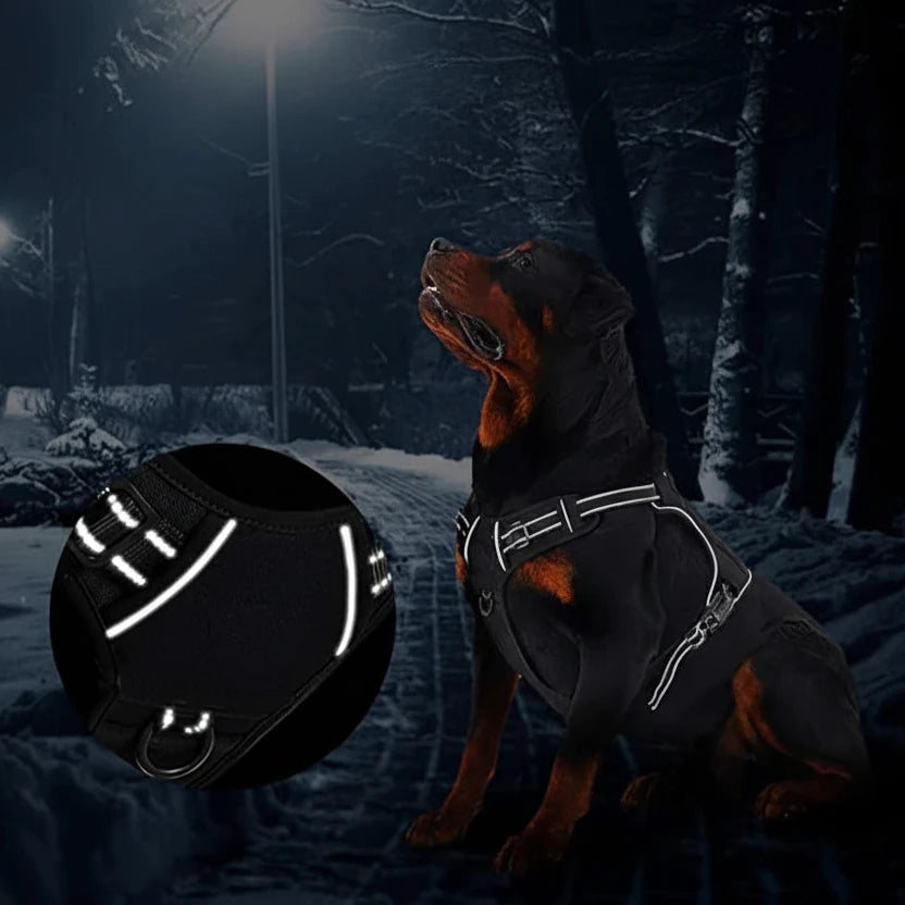 Harnais anti traction chien 30 kg reflechissant dans les bois