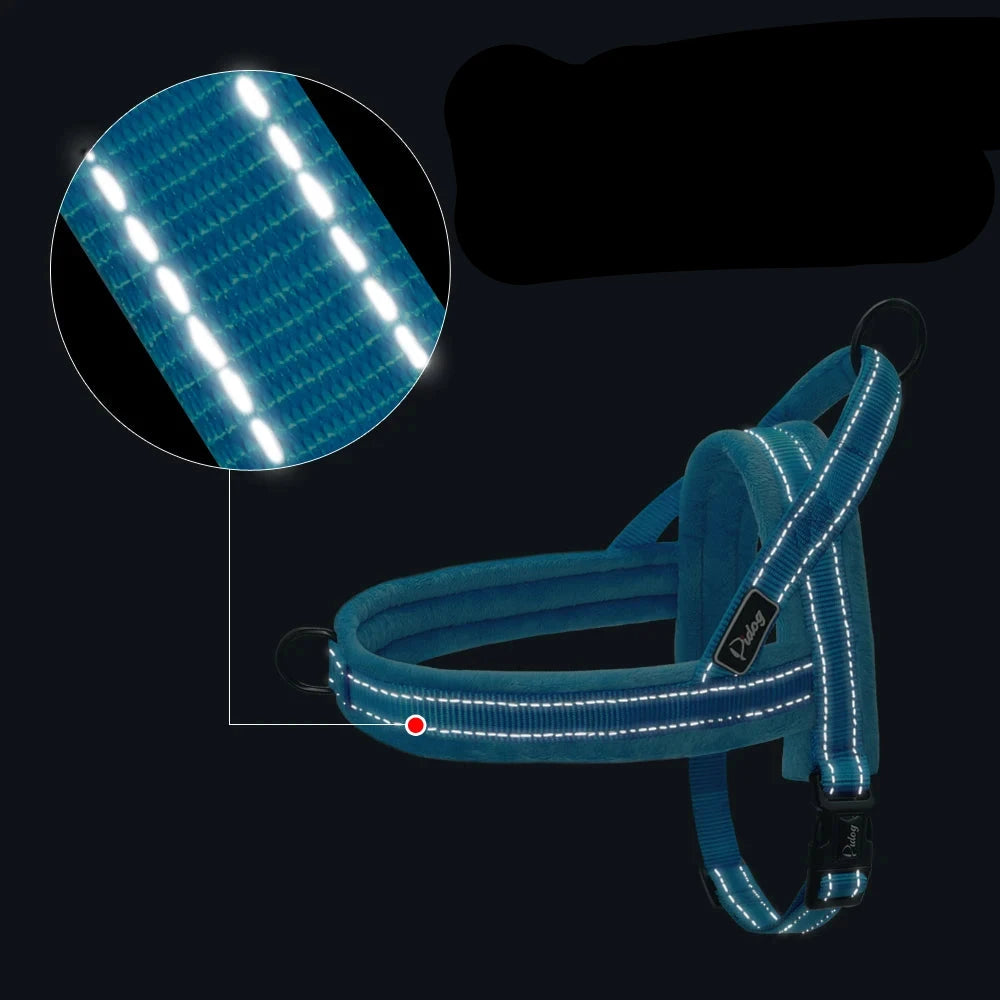 Harnais anti traction chien education bleu reflechissant Image