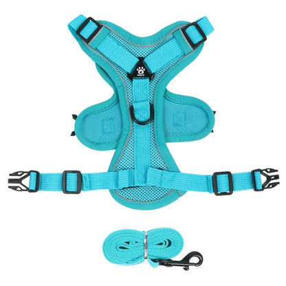 Harnais anti traction petit chien bleu