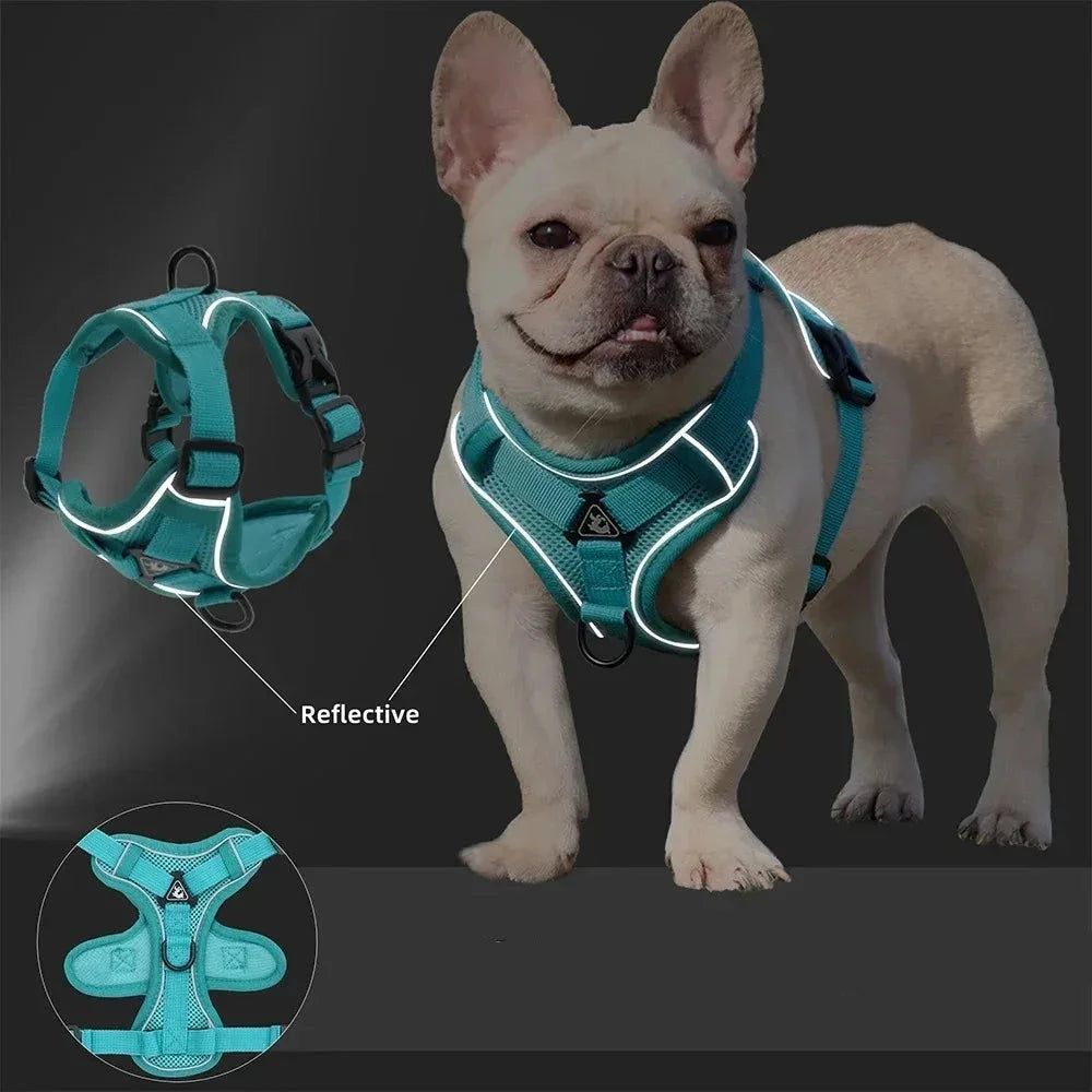 Harnais anti traction petit chien reflechissante 