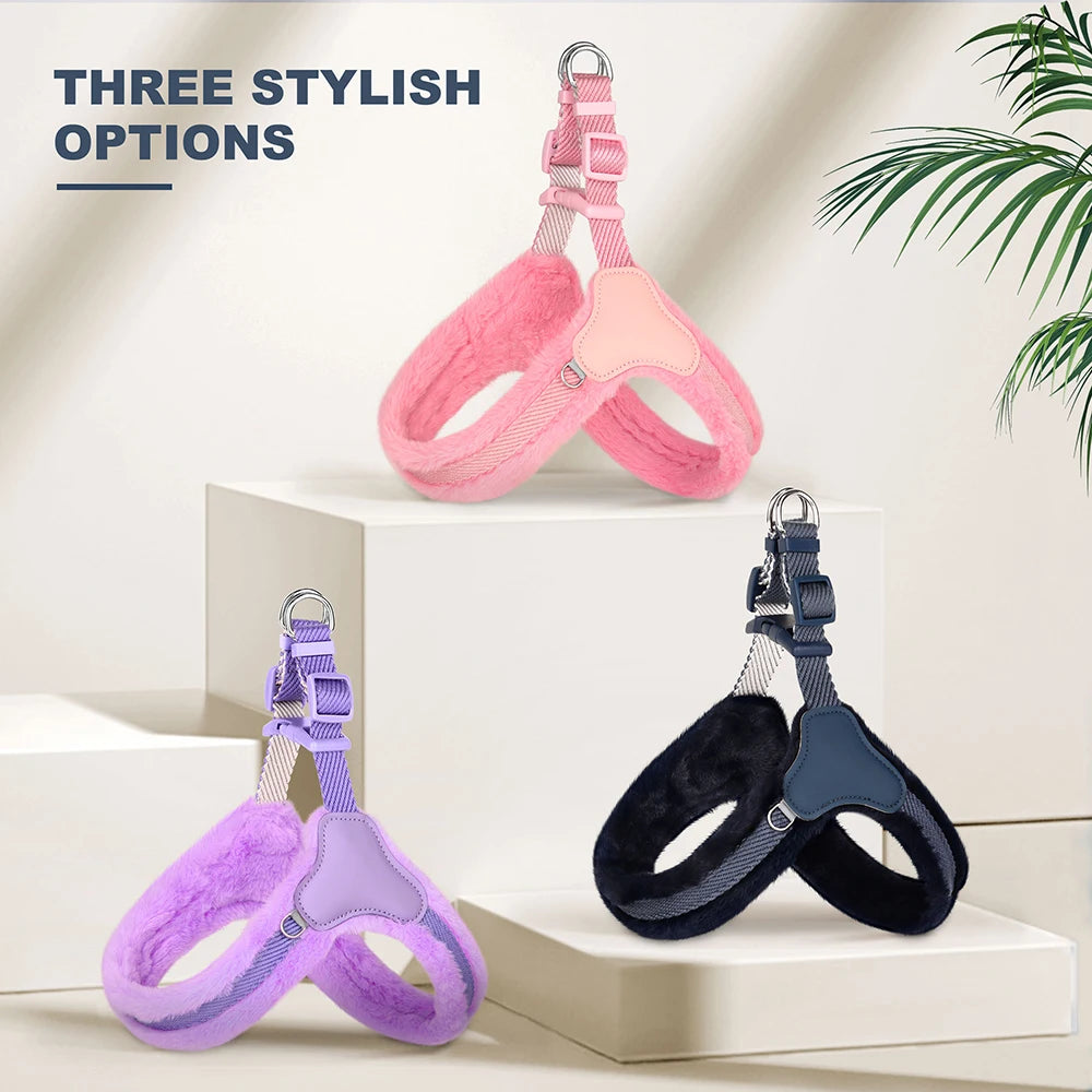 Harnais baudrier pour petit chien avec des harnais  Image