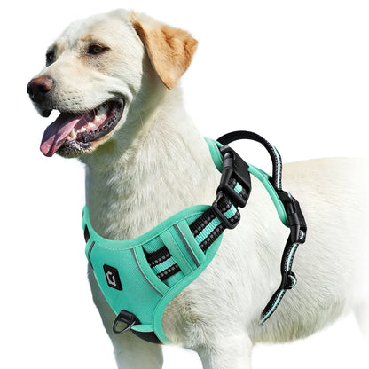 Harnais bouclier pour gros chien de couleur bleu turquoise de boutiquechien