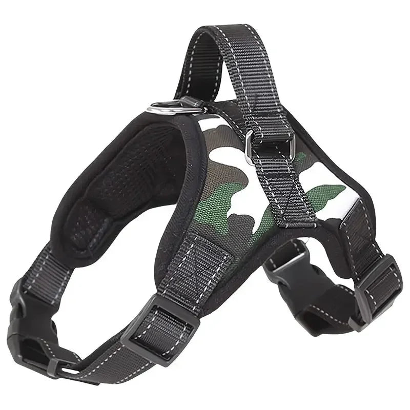 Harnais canicross border collie camouflage 