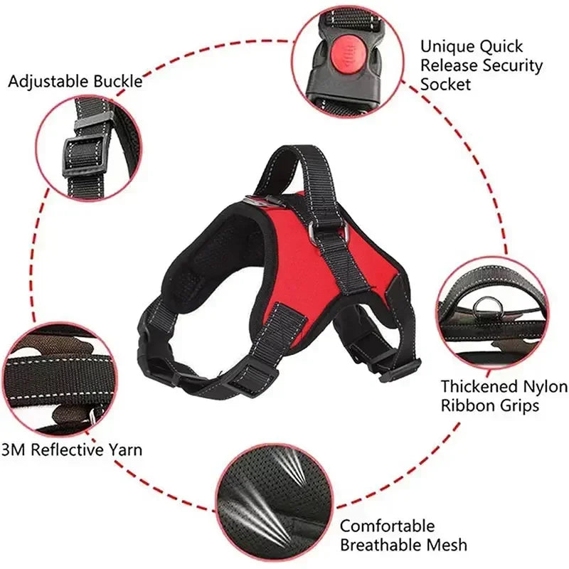 Harnais canicross border collie caractéristiques du produit  Image