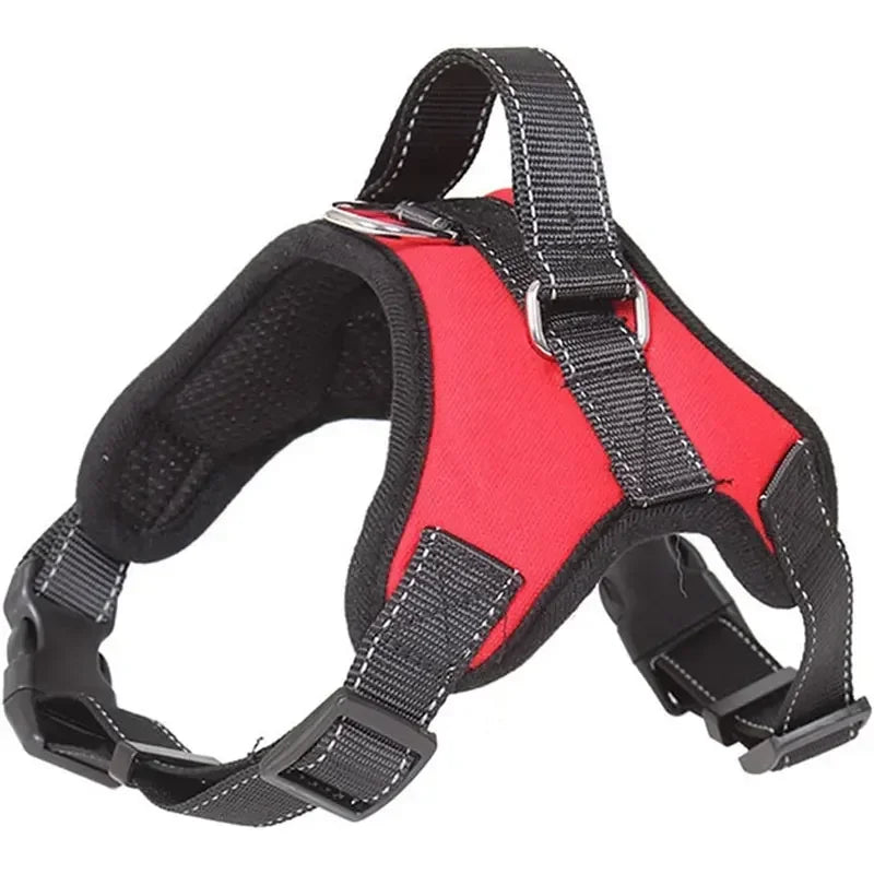 Harnais canicross border collie rouge
