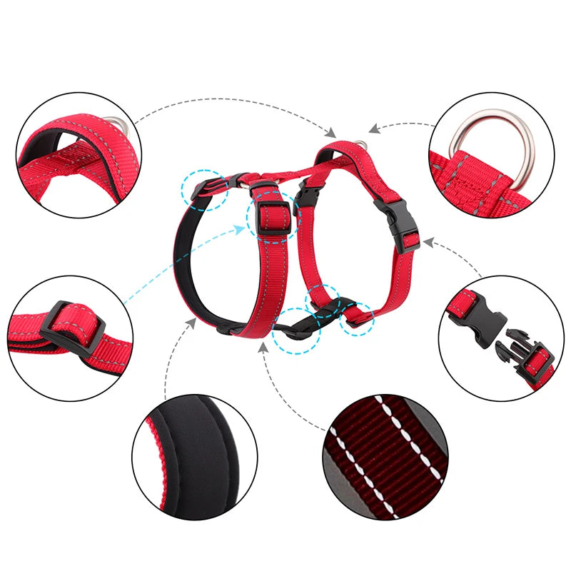 Harnais chien anti traction en y avantages