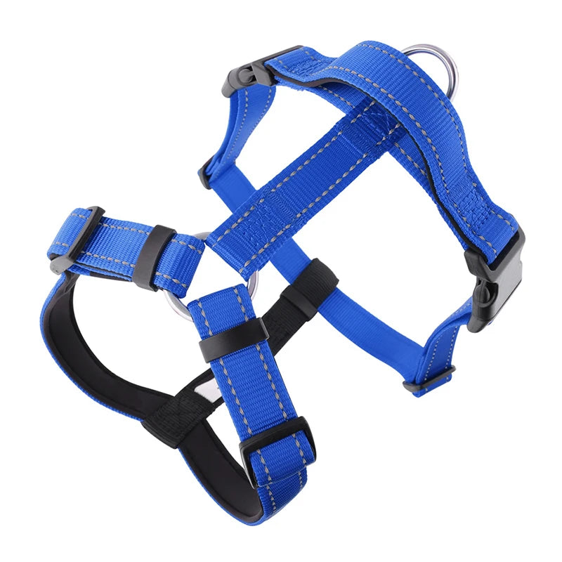 Harnais chien anti traction en y bleu