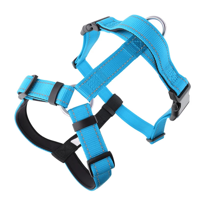 Harnais chien anti traction en y bleu claire