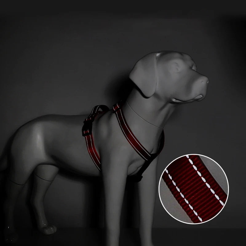 Harnais chien anti traction en y reflechissant Image